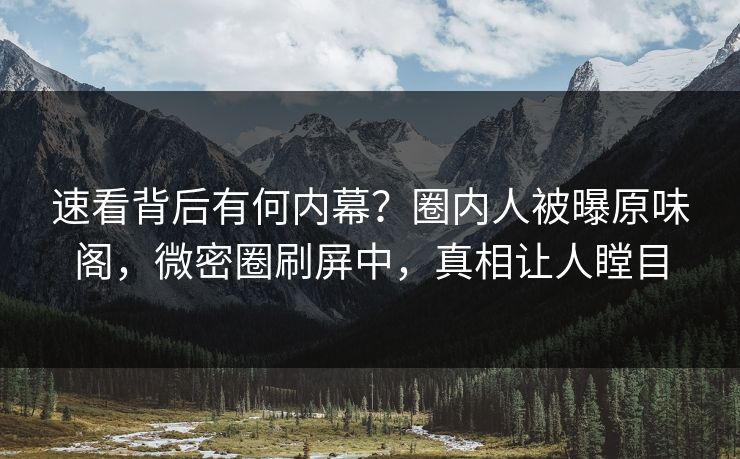 速看背后有何内幕？圈内人被曝原味阁，微密圈刷屏中，真相让人瞠目