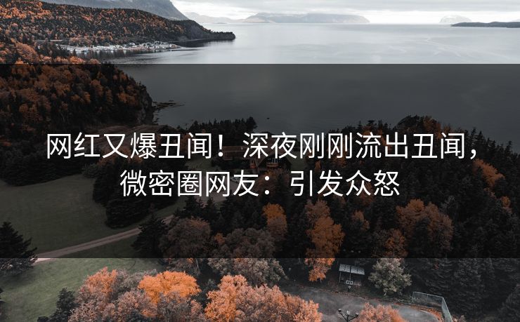 网红又爆丑闻！深夜刚刚流出丑闻，微密圈网友：引发众怒