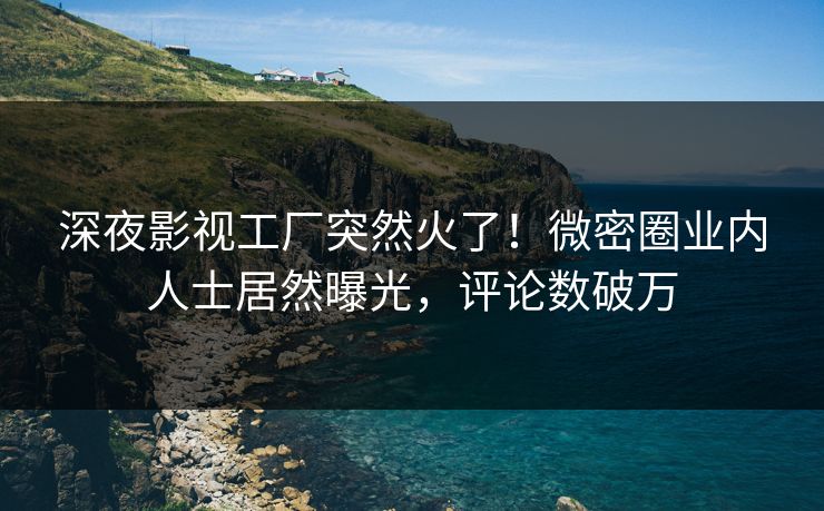 深夜影视工厂突然火了！微密圈业内人士居然曝光，评论数破万