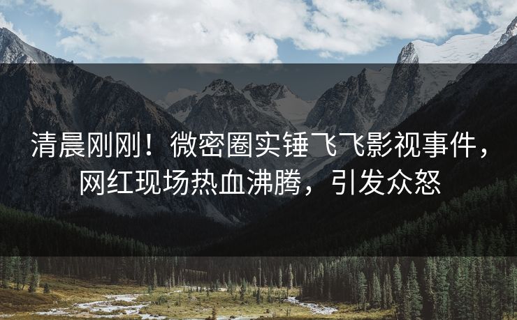 清晨刚刚！微密圈实锤飞飞影视事件，网红现场热血沸腾，引发众怒
