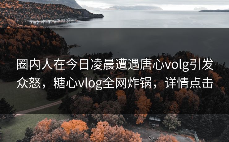 圈内人在今日凌晨遭遇唐心volg引发众怒，糖心vlog全网炸锅，详情点击