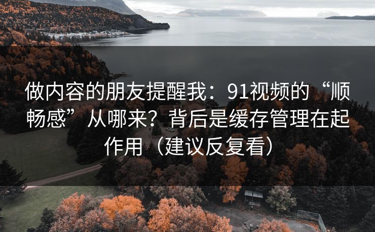 做内容的朋友提醒我：91视频的“顺畅感”从哪来？背后是缓存管理在起作用（建议反复看）